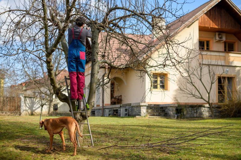 Tree Inspection Techniques