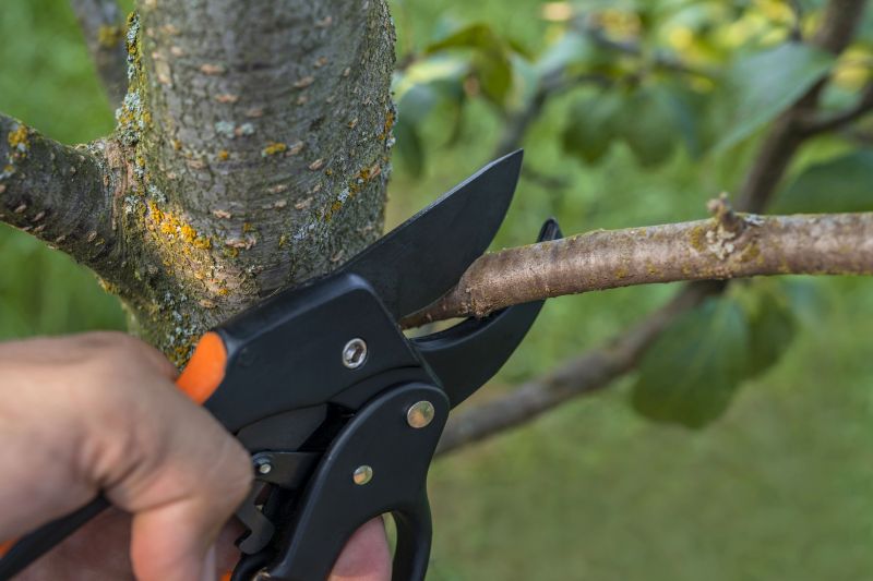 Professional Pruning Tools