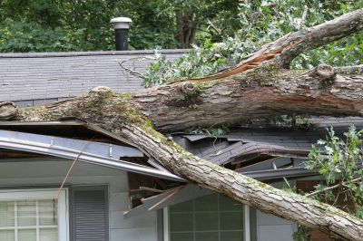 Storm Damage Response