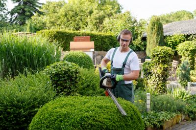 Landscaping and Tree Maintenance Firms